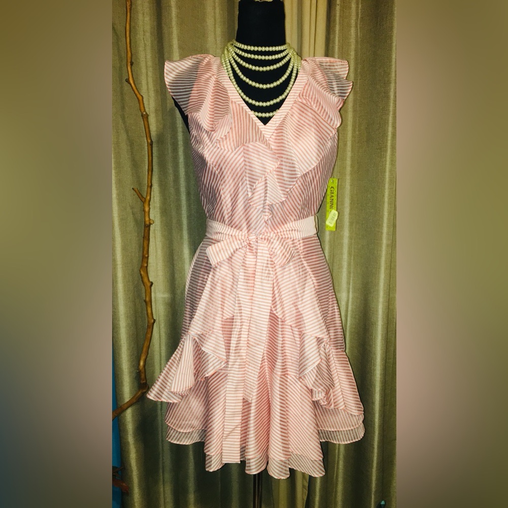 NWT Gianni Beanie Ruffle stripe dress